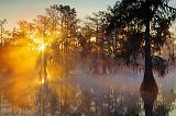 Misty Lake Martin Sunrise_25802